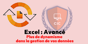 Formation Excel Avancé