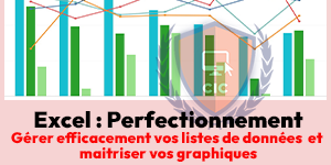 Formation Excel Perfectionnement