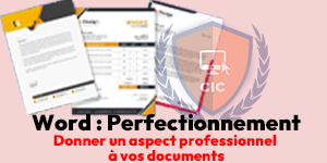 Formation Word Perfectionnement